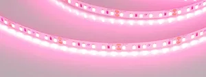 Лента RT-A120-8mm 24V Pink (9.6 W/m, IP20, 2835, 5m) (Arlight, -)