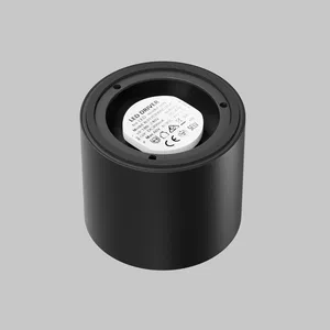 Потолочный светильник Technical C217CL-15W4K-B