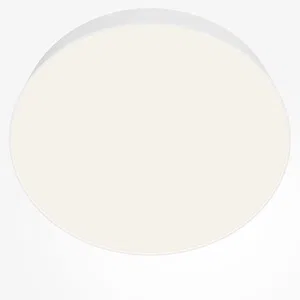 Потолочный светильник Technical C032CL-45W4K-RD-W