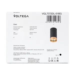 Потолочный светильник Voltega VGL7372DL-01BG