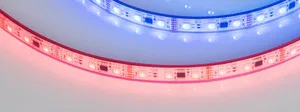 Лента герметичная DMX-PS-B60-12mm 12V RGB-PX3 (14 W/m, IP67, 5060, 5m) (Arlight, -)