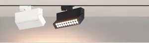 Светильник LGD-LOFT-TRACK-2TR-S170-10W Warm3000 (BK, 24 deg, 230V) (Arlight, IP20 Металл, 3 года)