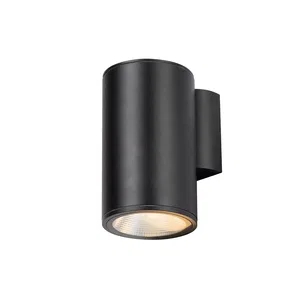 Уличный настенный светильник Outdoor O303WL-L5GF3K