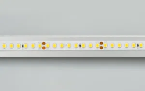 Лента RT 2-5000 24V Day5000 2x (2835, 160 LED/m, LUX) (Arlight, 12 Вт/м, IP20)