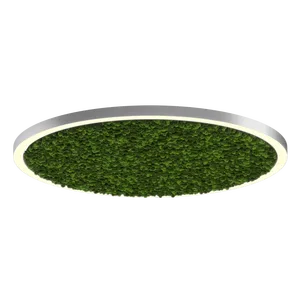 Модульный светильник HOKASU Halo Moss (кольцо со мхом)