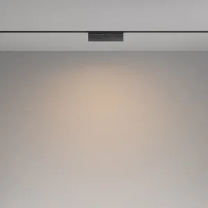 Трековый светильник Voltega VGL036-2-12W3K-B