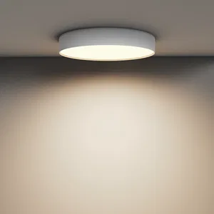 Потолочный светильник Technical C032CL-45W3K-RD-W