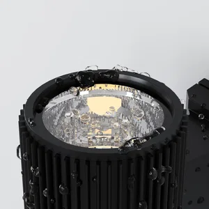 Уличный настенный светильник Outdoor O419WL-01B