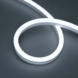 Лента герметичная HALO-SIDE-A160-15x25mm 24V White6000 (10 W/m, IP67, 5m, wire x1) (Arlight, Силикон, 3 года)