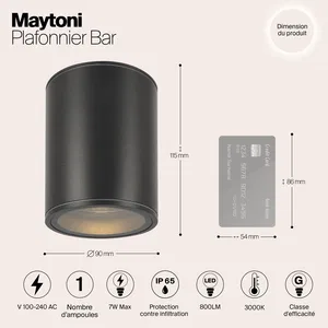 Уличный потолочный светильник Outdoor O306CL-L7GF
