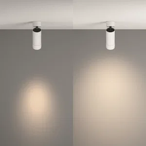 Потолочный светильник Technical C055CL-L12W4K-Z-W