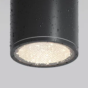 Уличный потолочный светильник Outdoor O306CL-L7GF