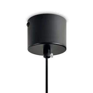 Подвесной светильник Freya FR5599PL-01CFL