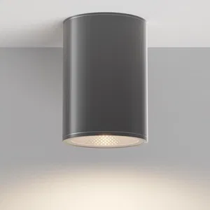 Уличный потолочный светильник Outdoor O306CL-L12GF