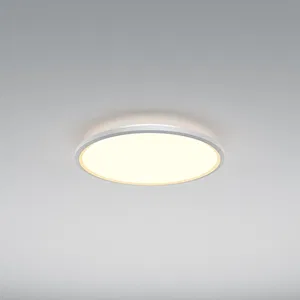 Потолочный светильник Maytoni MOD426CL-L43WK1