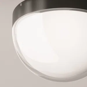 Уличный потолочный светильник Outdoor O438CL-L12GF3K