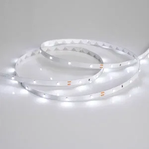 Лента RT 2-5000 24V White6000 0.5x (3528, 150 LED, LUX) (Arlight, 2.9 Вт/м, IP20)