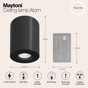 Потолочный светильник Technical C016CL-01B