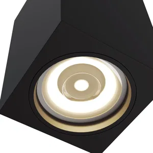 Потолочный светильник Technical C011CL
