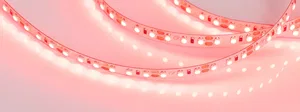 Лента RT 2-5000 12V Red 2x (3528, 600 LED, LUX) (Arlight, 9.6 Вт/м, IP20)