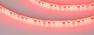 Лента герметичная RTW-SE-A120-8mm 24V RGB (12 W/m, IP65, 5m) (Arlight, 5 лет)