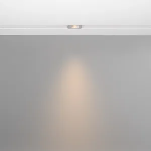 Трековый светильник Technical TR100-2-2W3K-S-W