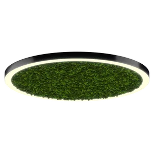 Модульный светильник HOKASU Halo Moss (кольцо со мхом)