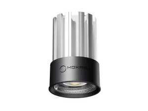 Module HOKASU HS45 (RAL9005/25deg — 4K/10W/CRI90)