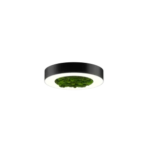 Модульный светильник HOKASU Halo Moss (кольцо со мхом)