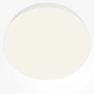 Потолочный светильник Technical C032CL-45W4K-RD-W