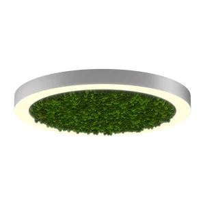 Модульный светильник HOKASU Halo Moss (кольцо со мхом)