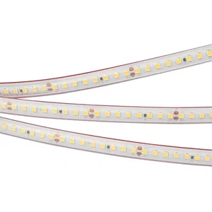 Лента герметичная RTW-PS-A160-10mm 24V Day4000 (12 W/m, IP67, 2835, 5m) (Arlight, 12 Вт/м, IP67)