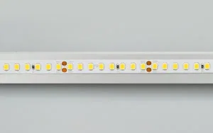 Лента RT 2-5000 24V Day5000 2x (2835, 160 LED/m, LUX) (Arlight, 12 Вт/м, IP20)