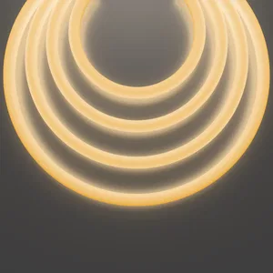 Гибкий неон Led Strip 20300