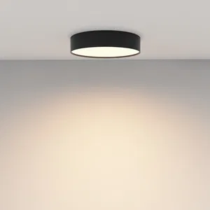 Потолочный светильник Technical C032CL-36W3K-RD-B
