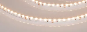 Лента RS-S120-8mm 24V Warm3000 (9.6 W/m, IP20, 3014, 5m) (Arlight, боковое свечение)