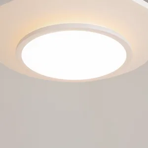 Потолочный светильник Maytoni MOD426CL-L43WK1