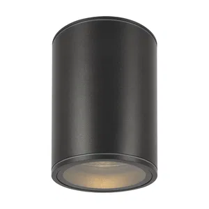 Уличный потолочный светильник Outdoor O306CL-L7GF