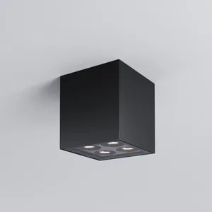 Уличный потолочный светильник Outdoor O309CL-L8GF3K