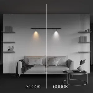 Светильник Technical C102CL-3W3-6K-B