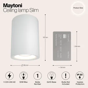 Потолочный светильник Technical C012CL-01W