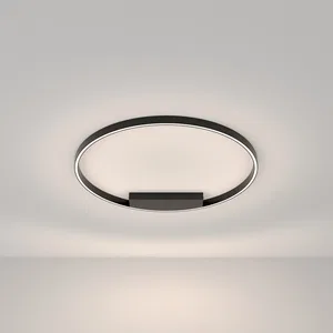 Потолочный светильник Maytoni MOD058CL-L50BK