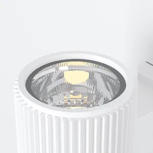 Уличный настенный светильник Outdoor O419WL-01W