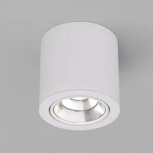 Светильник SP-FOCUS-R140-30W Day White (Arlight, IP20 Металл, 3 года)