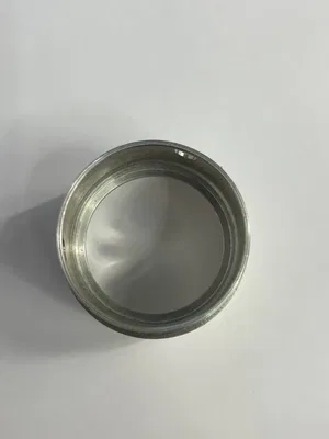 Yüzük в корпус armatürlerа Tube Zoom 55 mm (RAW)
