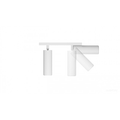 Накладной светильник Trunk Duo (RAL9003/D55 — GU10)