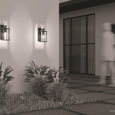 Уличный настенный светильник Outdoor O452WL-01GF1