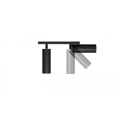Накладной светильник Trunk Duo (RAL9005/D55 — GU10)
