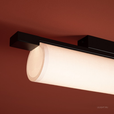 Потолочный светильник Freya FR5625CL-L20B