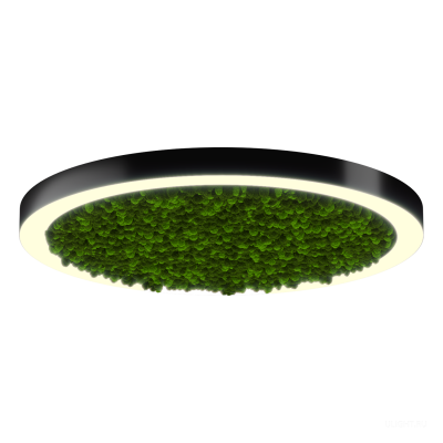 Светильник HOKASU Halo Moss (RAL9005/D1050/LT70 — 3K/99W/120deg)